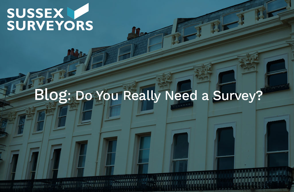 Do you really need a survey?