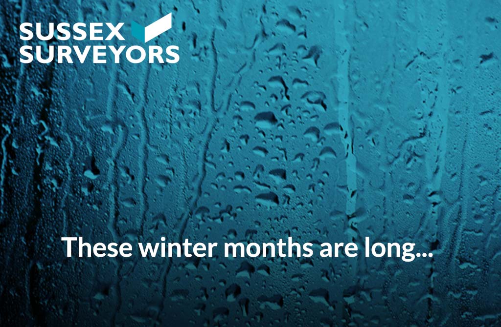 These winter months are long…