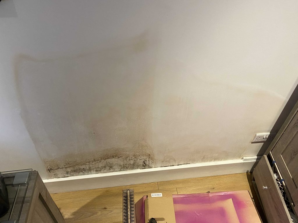 Close-up of black mould growth on a wall, highlighting potential areas for moisture accumulation