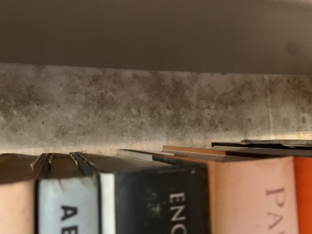 Black mould appearing on a shalf behind books, illustrating the impact of inadequate ventilation in indoor spaces.